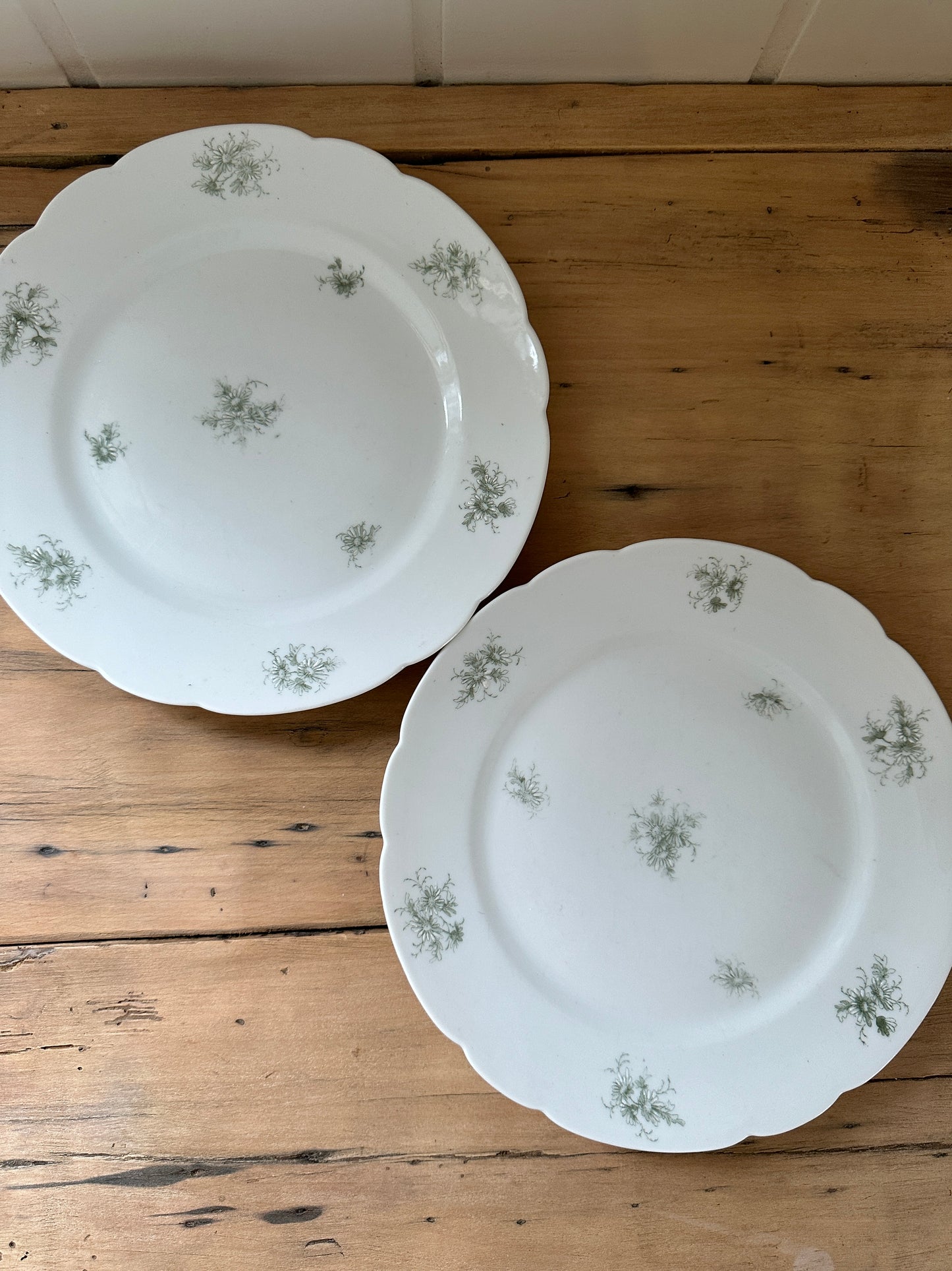 vintage floral porcelain dinner plates