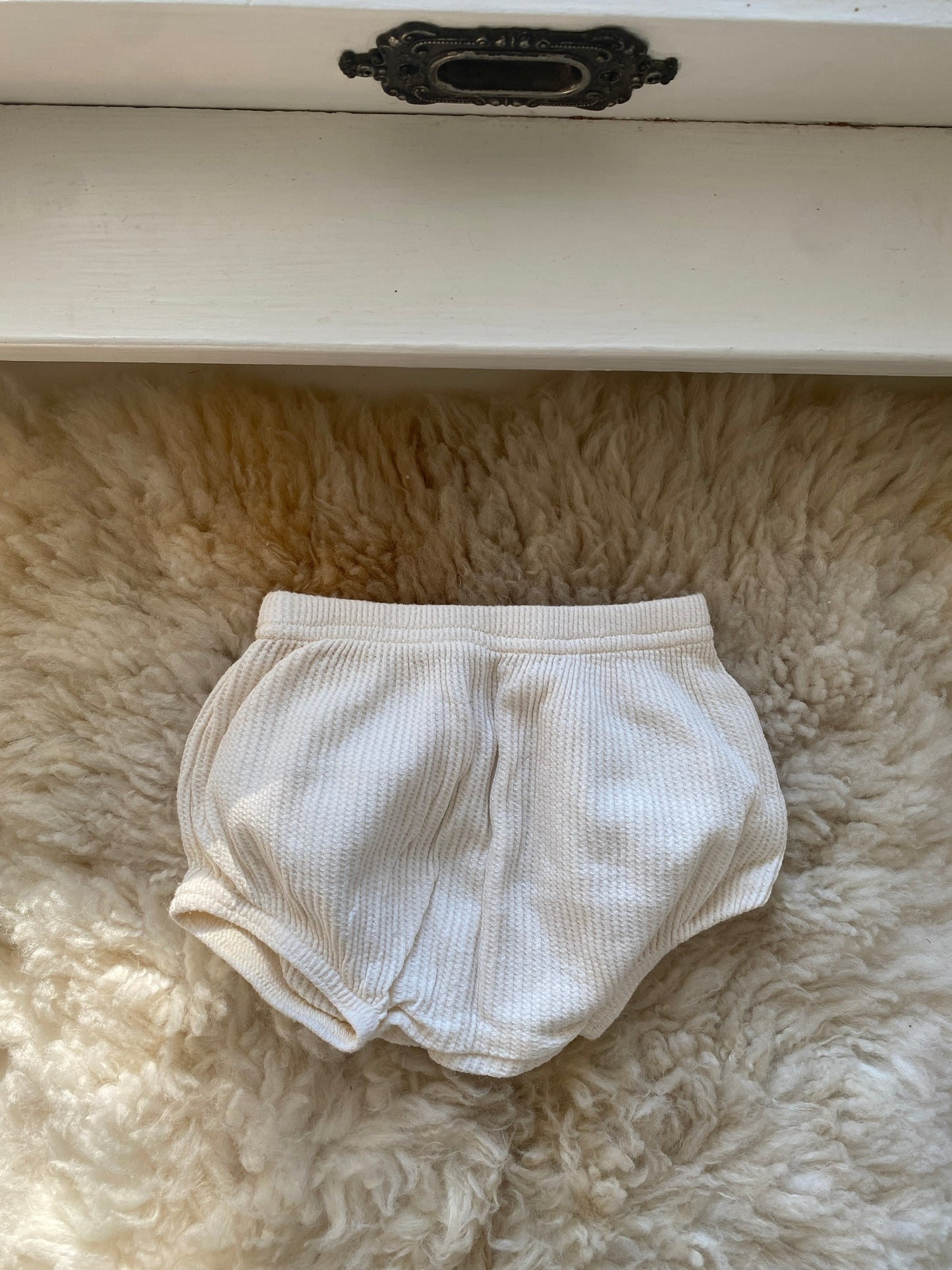 tortoise & the hare bloomers, 12 months