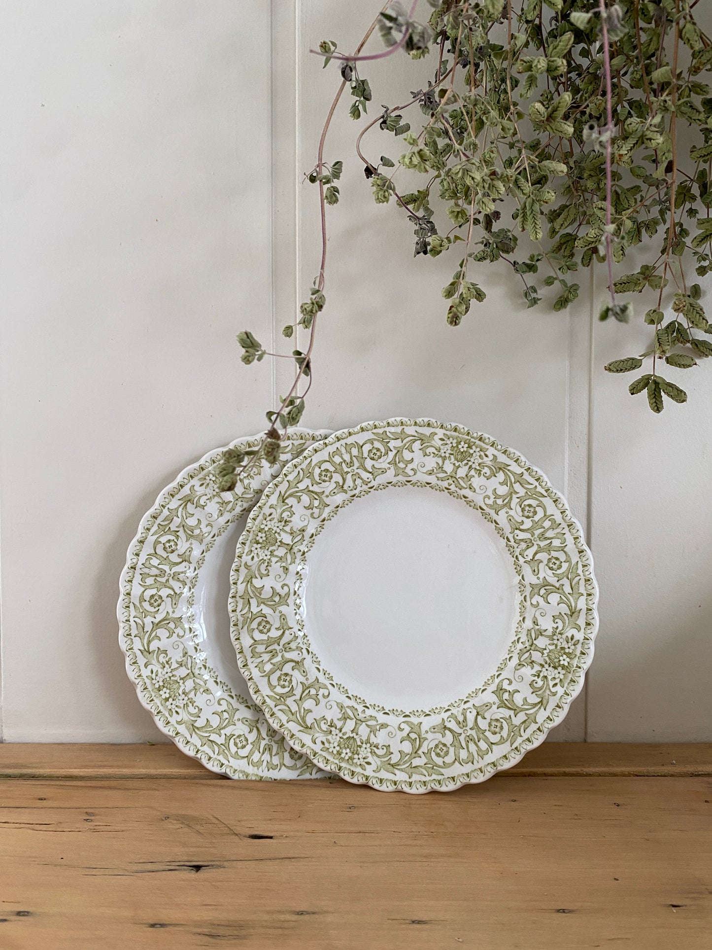 vintage green & white scallop ironstone plates