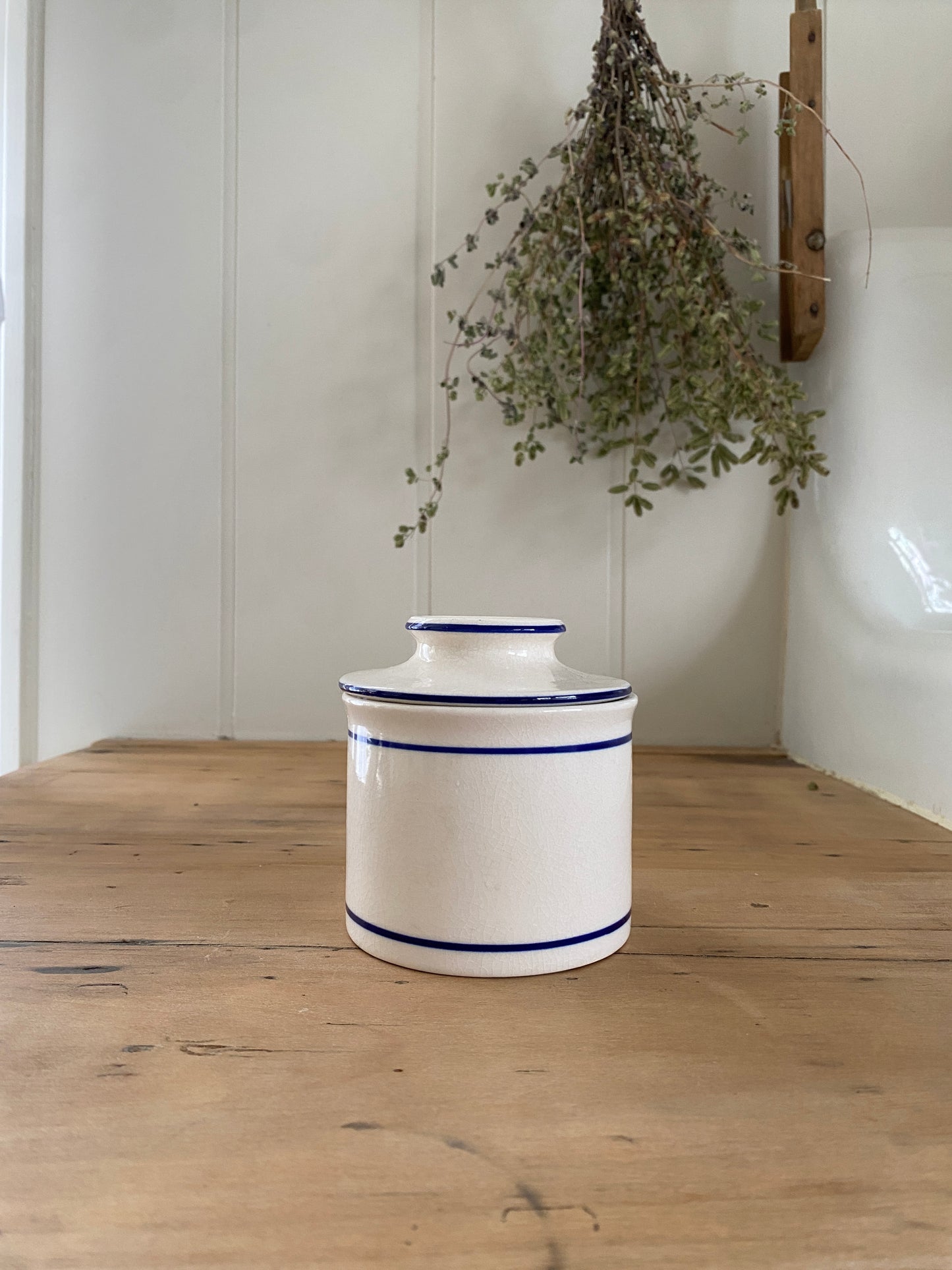 vintage blue stripe butter keeper