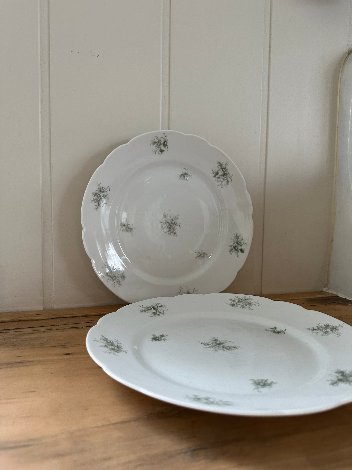 vintage floral porcelain dinner plates