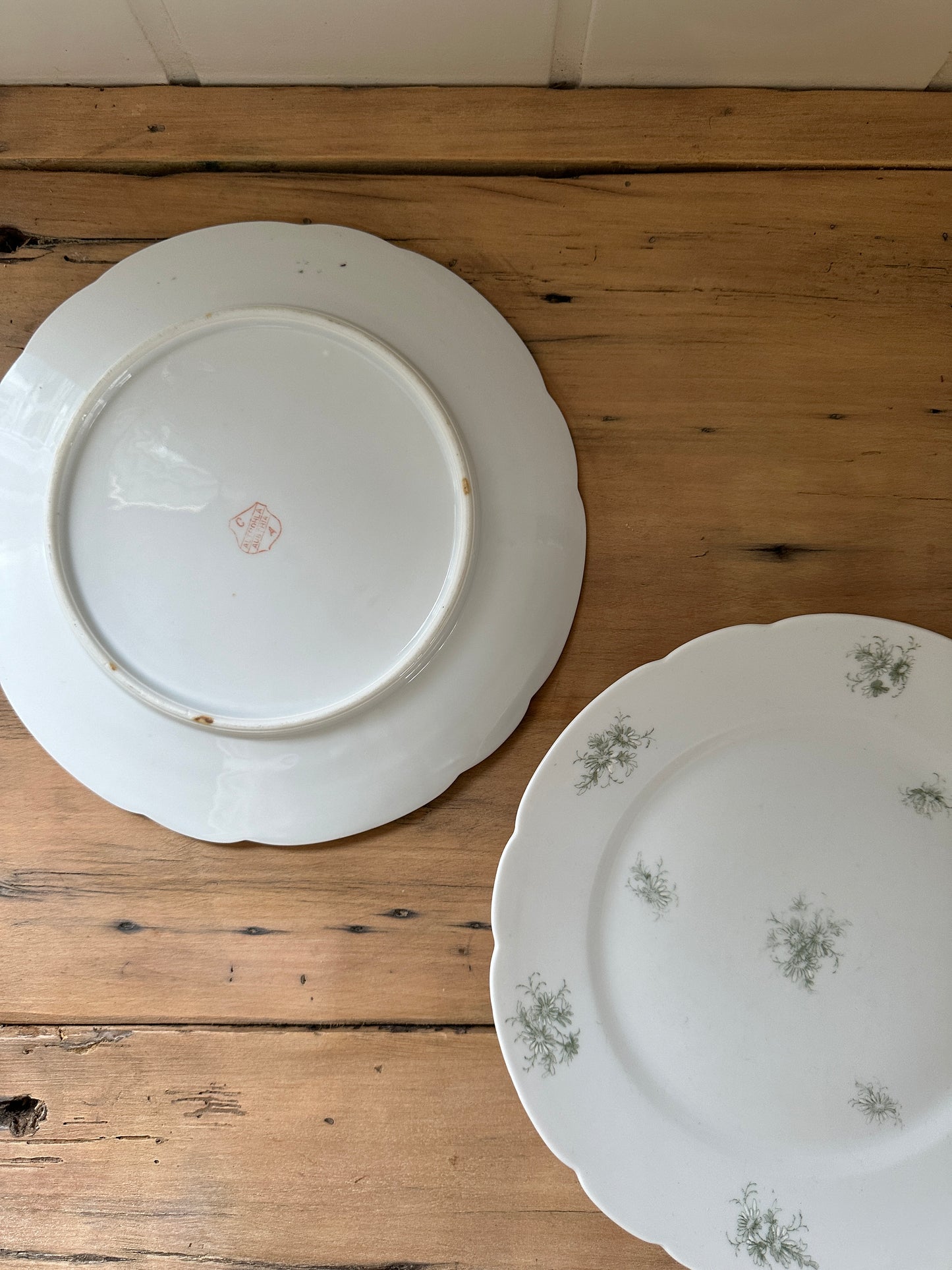 vintage floral porcelain dinner plates