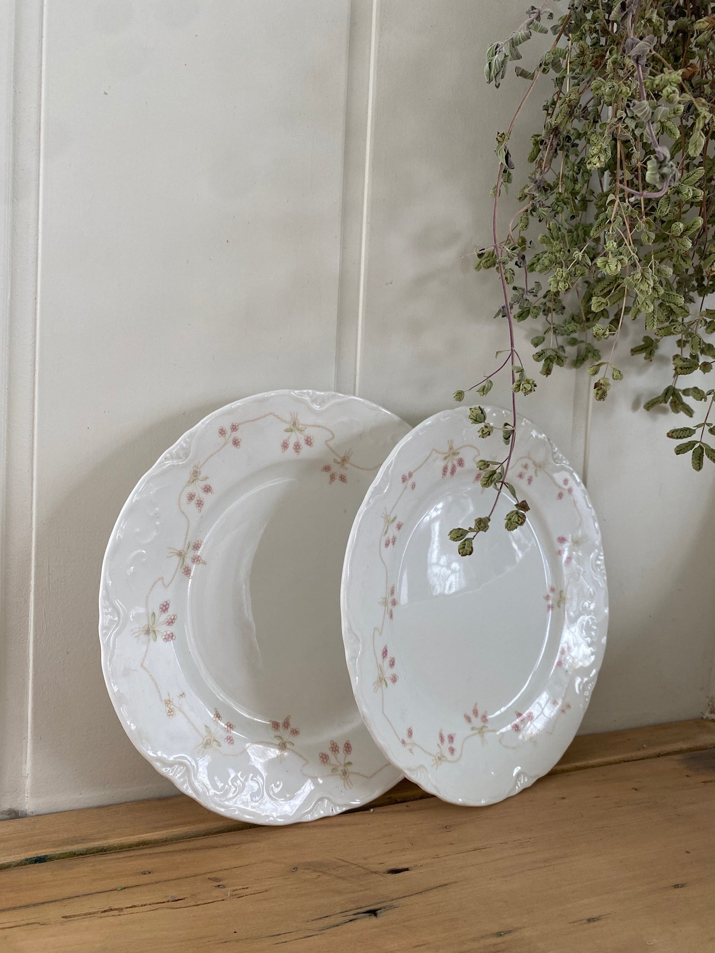 vintage poreclain floral plate set
