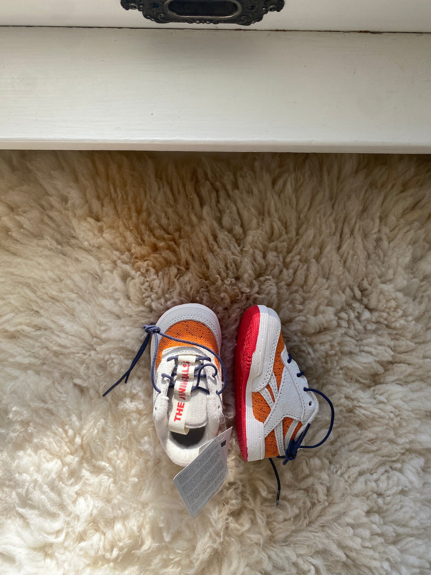 reebok + tao baby shoes, size 4