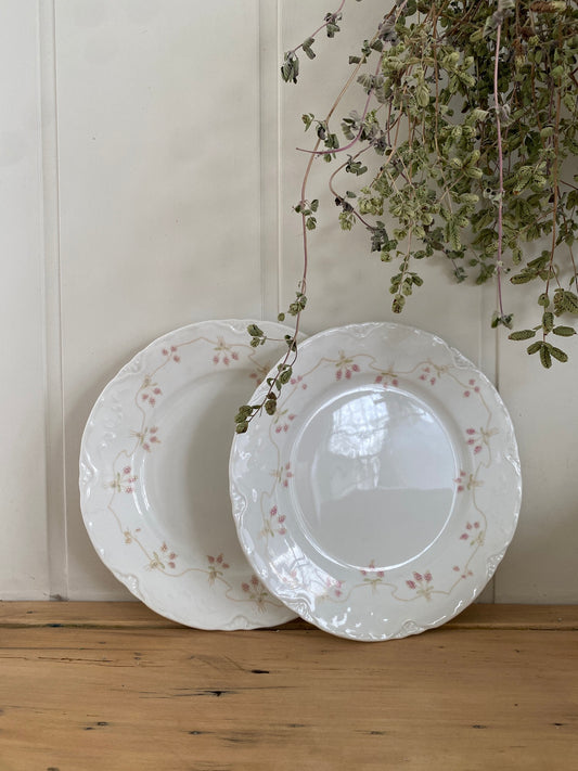 vintage poreclain floral plate set